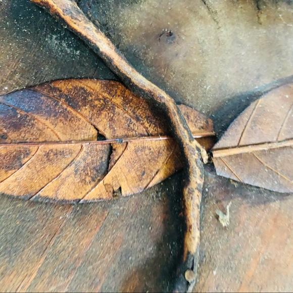 Vintage One of a Kind Wooden Box Basket - Picture 7 of 16